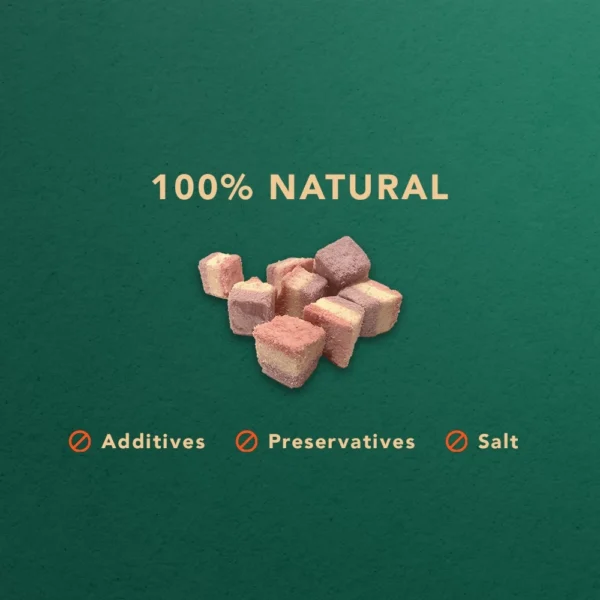 my-11134207-820l5-ml7xcq3xkow2c2.webp Freeze Dried Berries Cube Pet Snack Dog snack and Cat snack Pet Treats