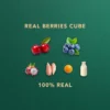 my-11134207-820la-ml7xcq42yj9cdb.webp Freeze Dried Berries Cube Pet Snack Dog snack and Cat snack Pet Treats