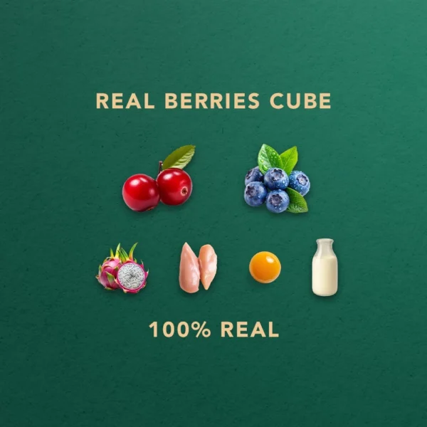 my-11134207-820la-ml7xcq42yj9cdb.webp Freeze Dried Berries Cube Pet Snack Dog snack and Cat snack Pet Treats
