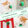 Catnip ball  catnip  cat snack  cat toy